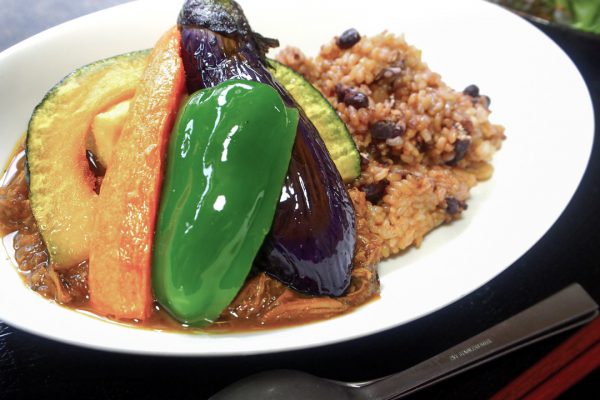 札幌黄玉ねぎと道産鶏肉の無水カレー